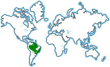 Amazonia no mapa mundial